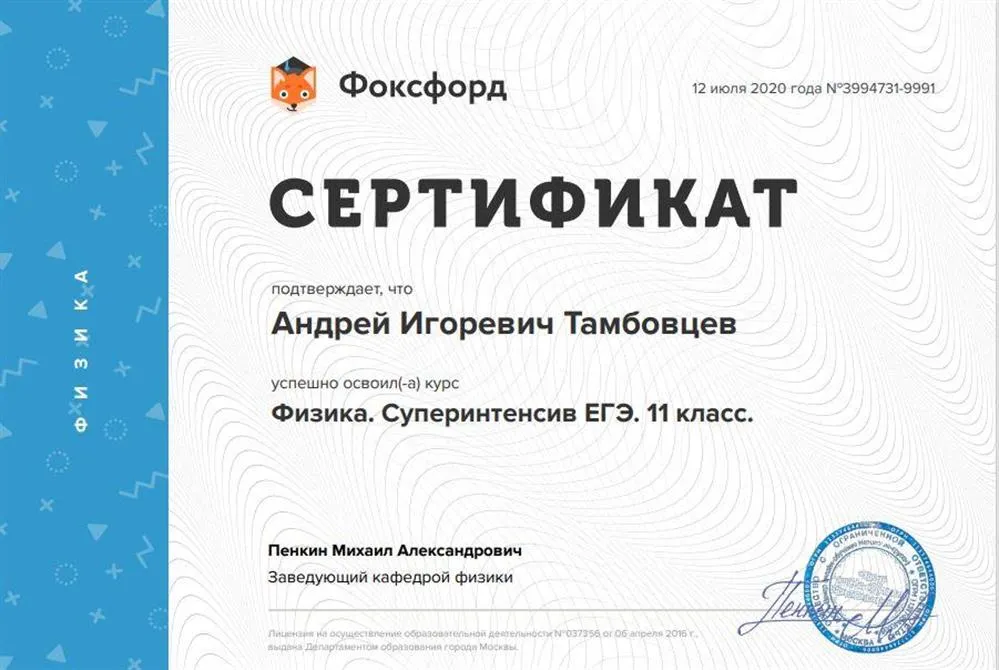 Суперинтенсив по физике ЕГЭ 