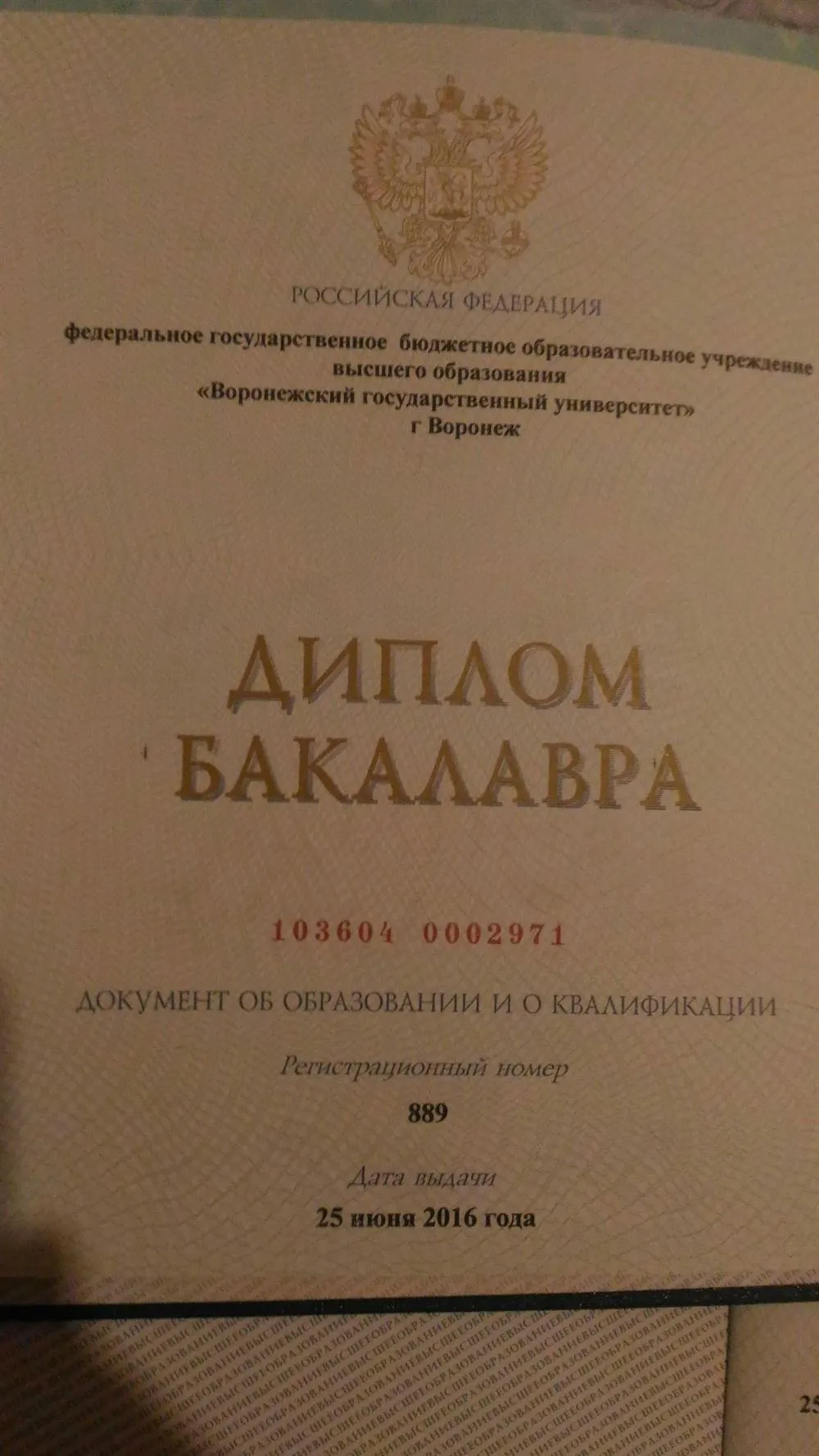 Диплом бакалавра журналистики