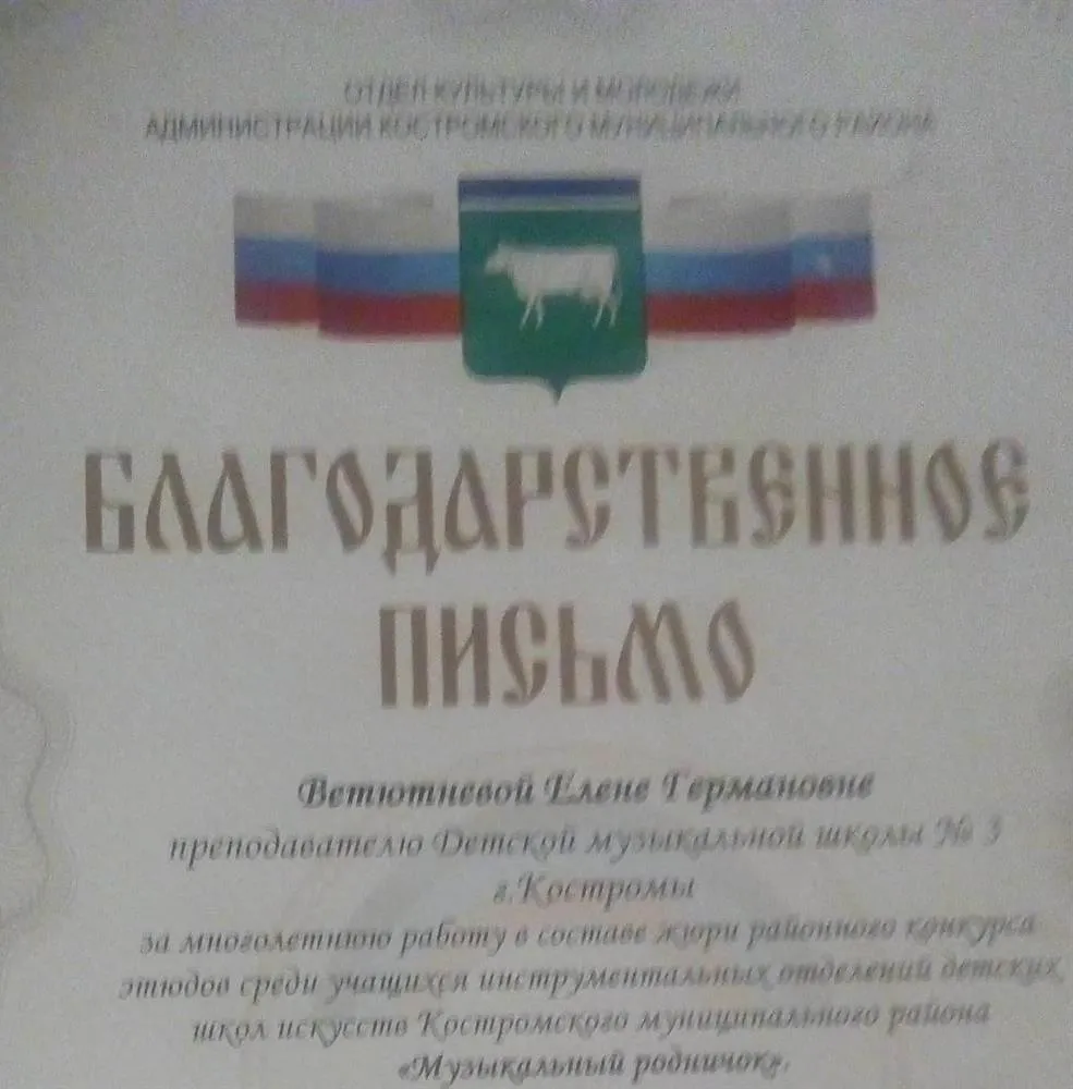 Благодарность за исполнительское мастерство