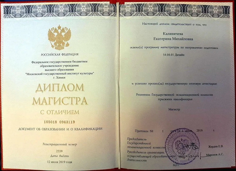 Диплом магистра, дизайн среды