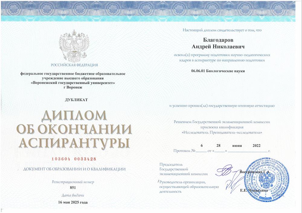 Диплом об окончании аспирантуры с присвоением квалификации "Исследователь. Преподаватель-исследователь"