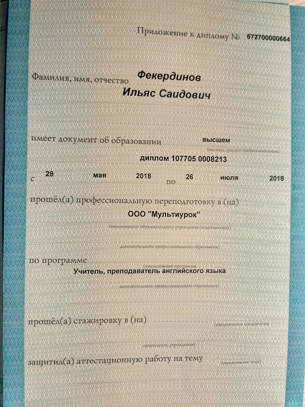 Диплом о профессиональной переподготовке (английский язык, 3)