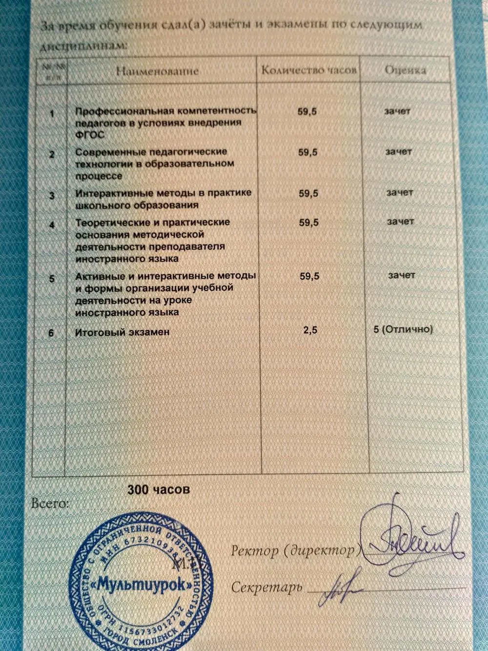 Диплом о профессиональной переподготовке (английский язык, 4)