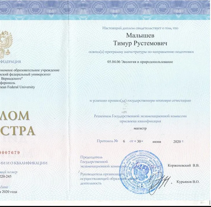 Магистр 