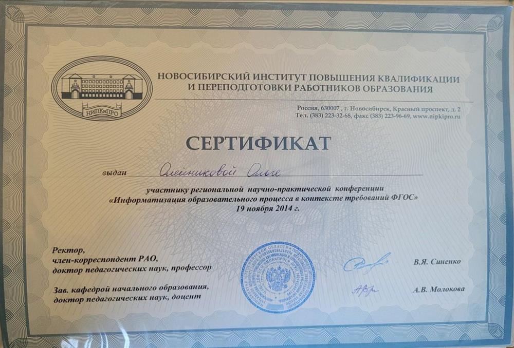 Сертификат "Информатизация образовательного процесса"