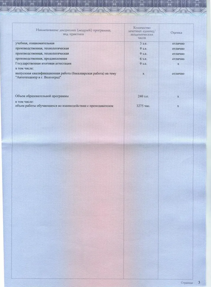 Приложение к диплому бакалавриата стр.3