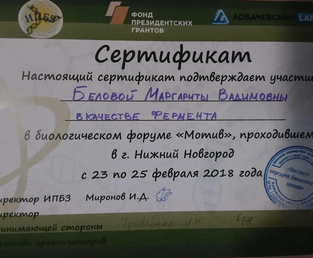 Сертификат