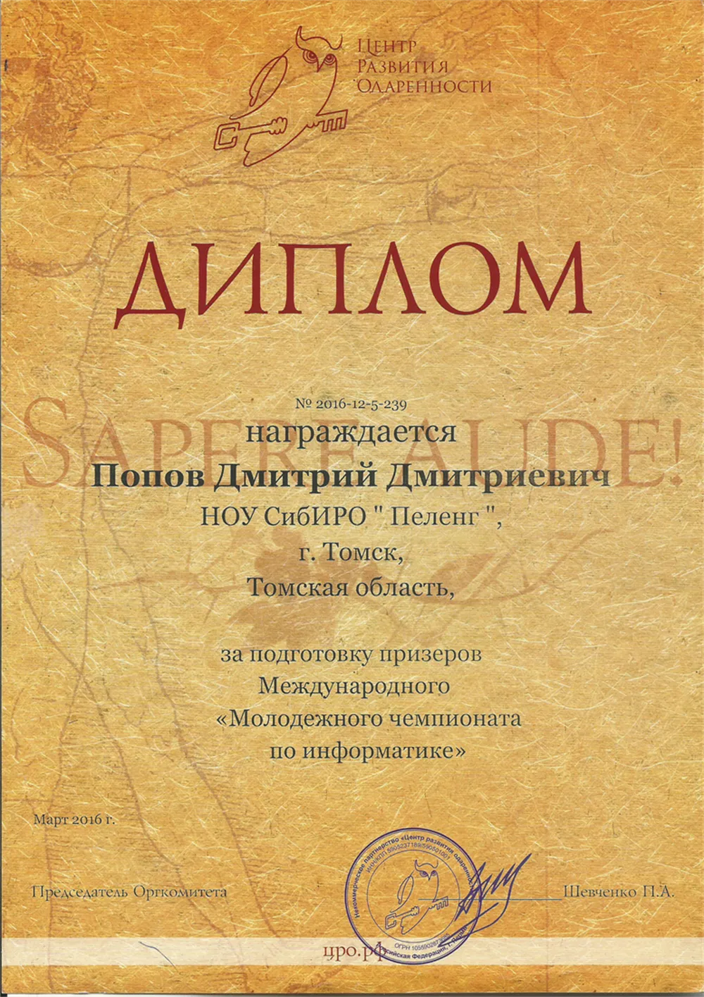 Диплом подготовки призеров