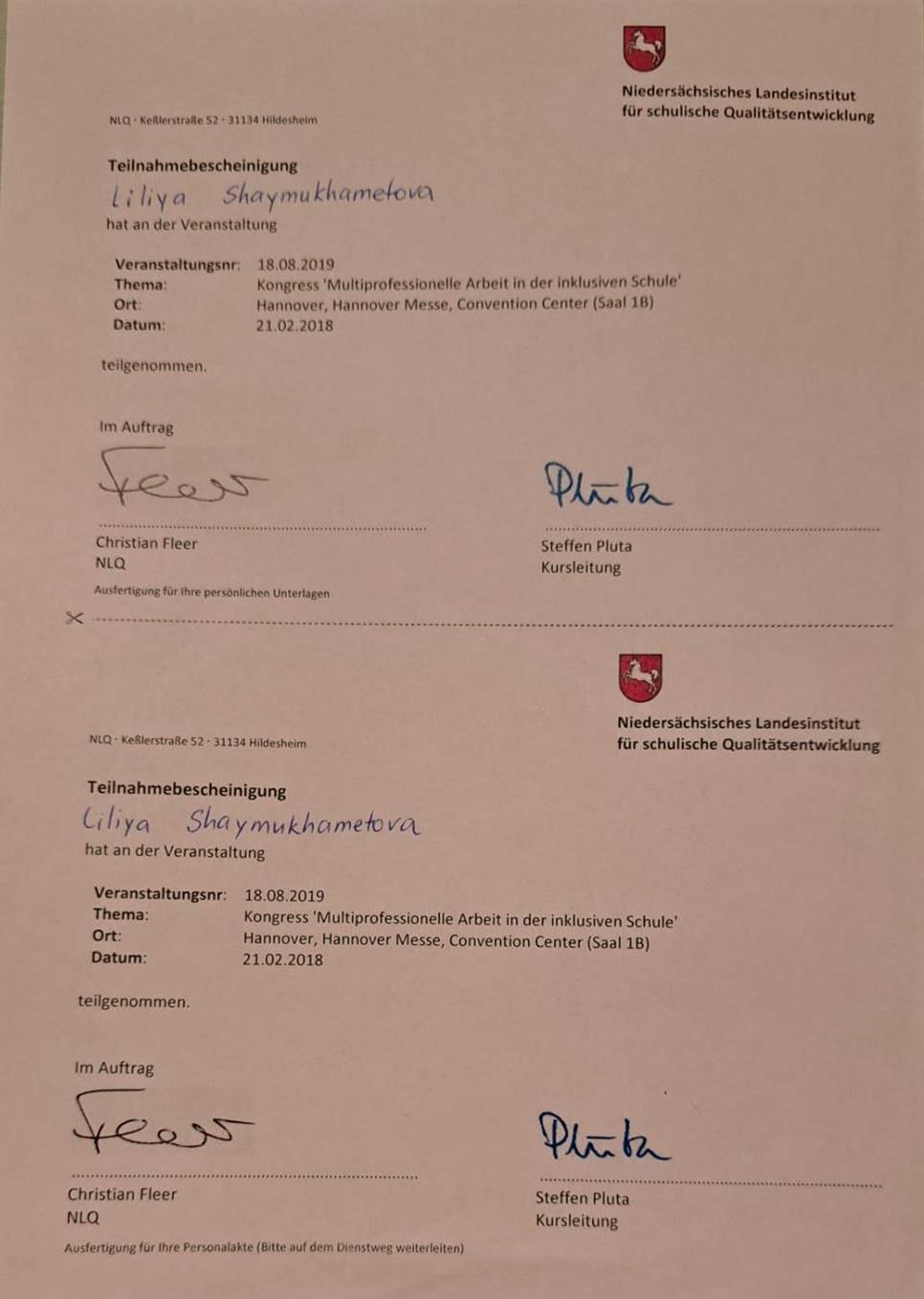 Сертификат участника конференции