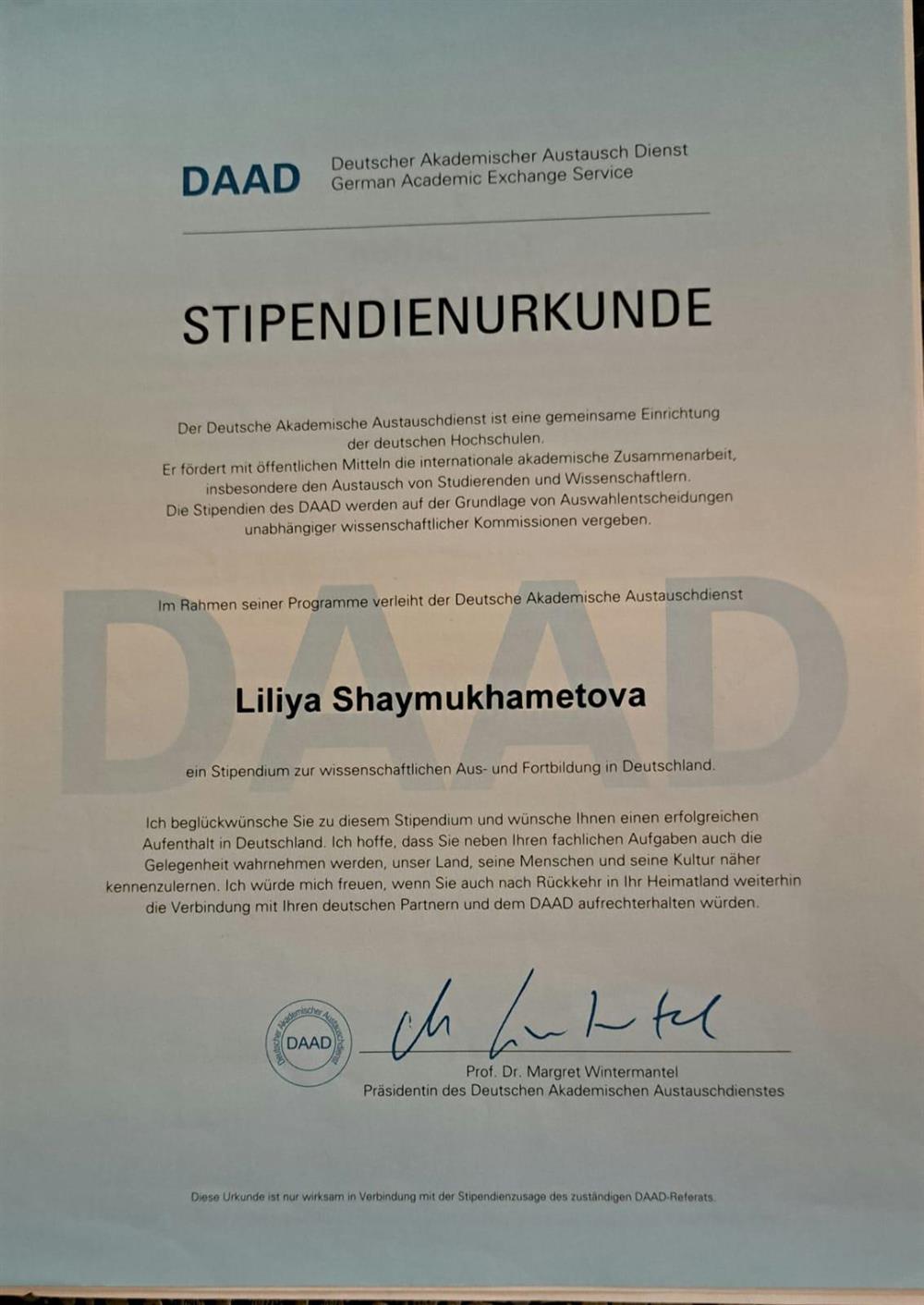 Сертификат DAAD на стипендию для летних вузовских курсов