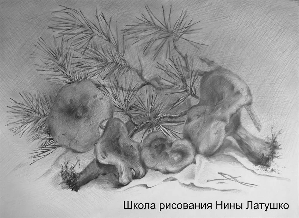 Художник Нина Латушко. Карандаш.