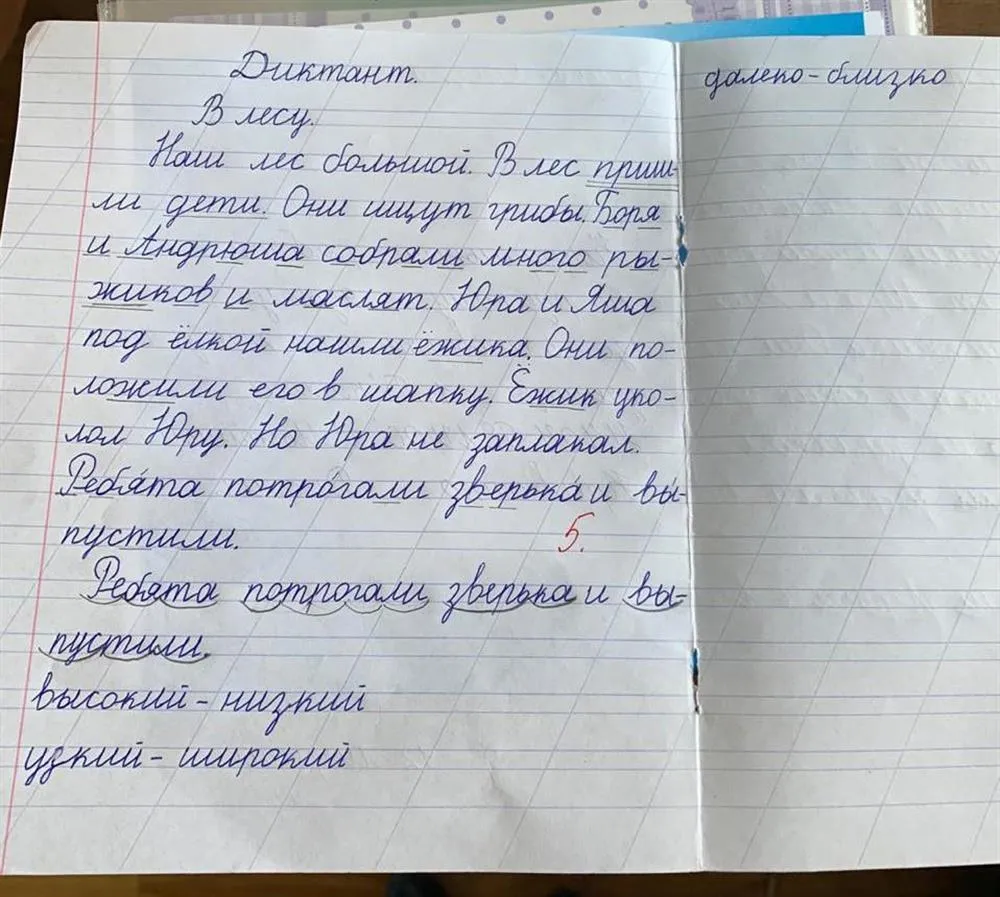 Почерк моей ученицы - 1 класс.