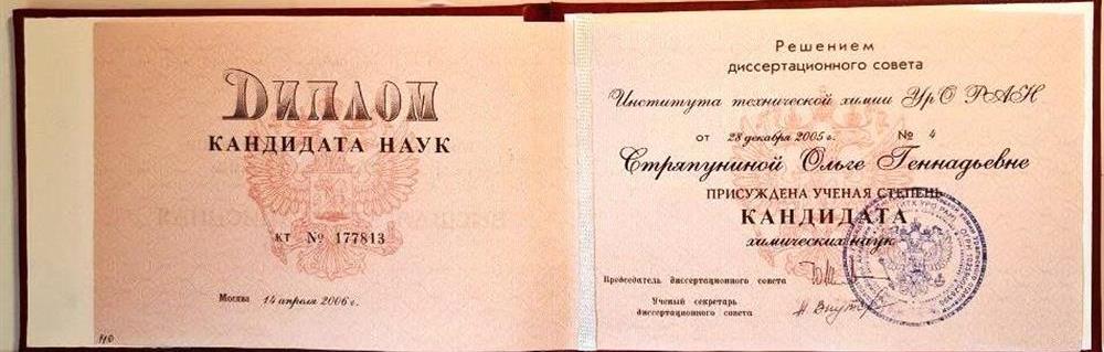 Диплом кандидата химических наук