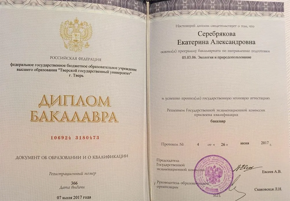 Диплом бакалавра