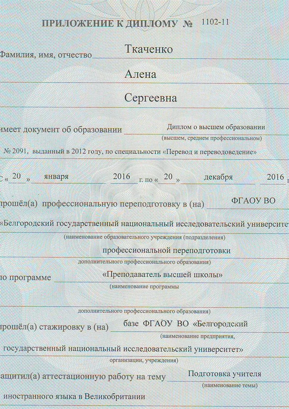 Приложение к диплому преподавателя