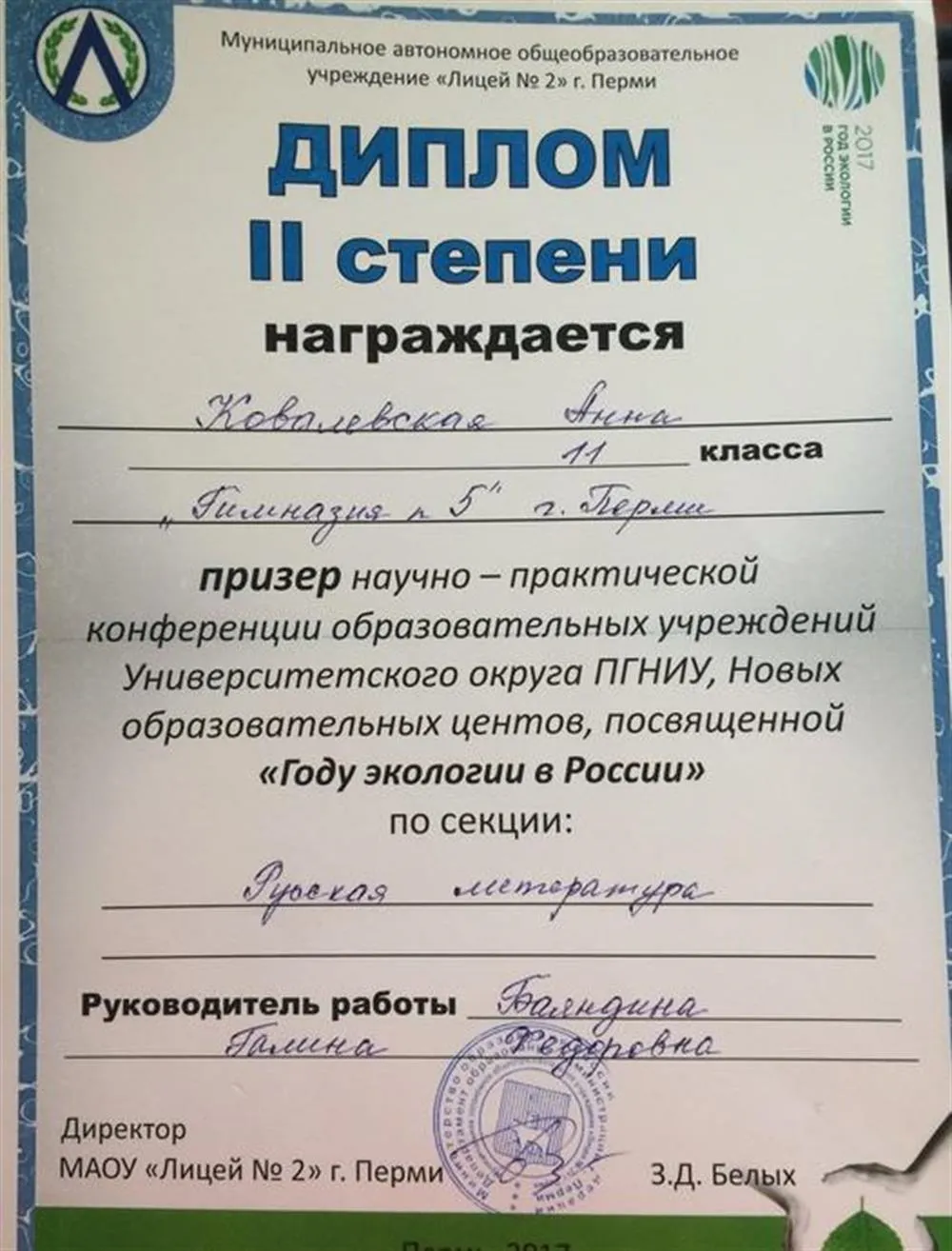 Диплом II степени в научно-практической конференции образовательных учреждений Университетского округа ПГНИУ, 2017