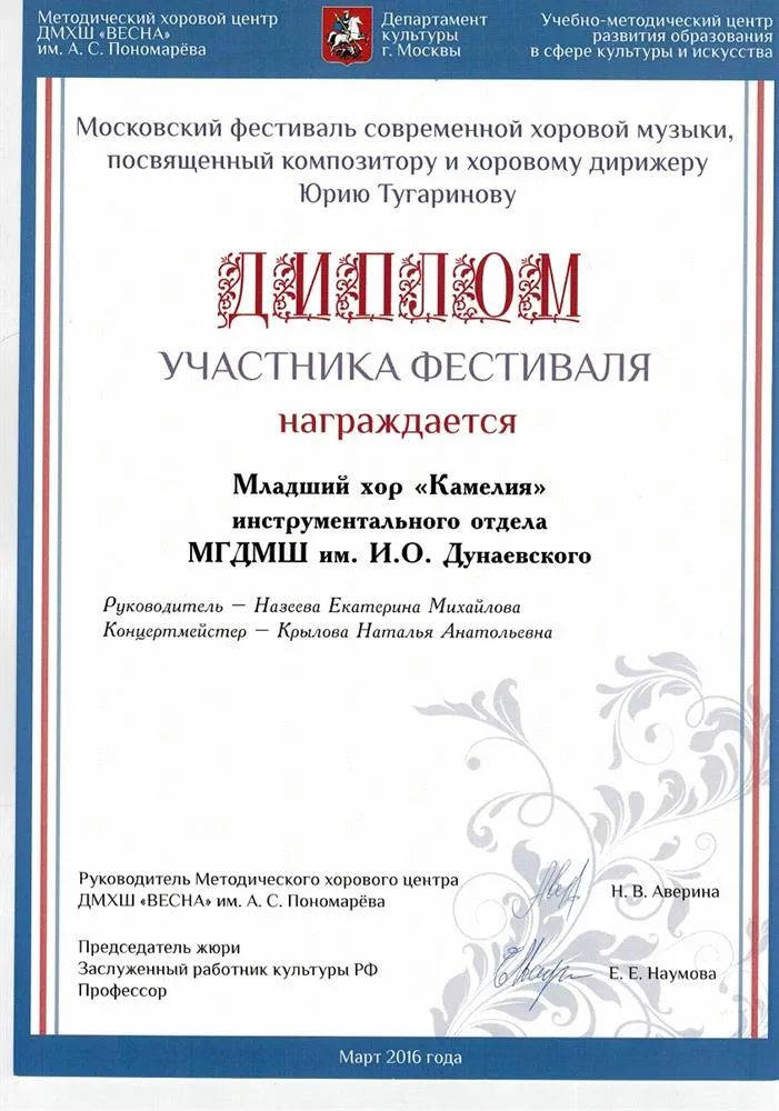 Диплом участника фестиваля