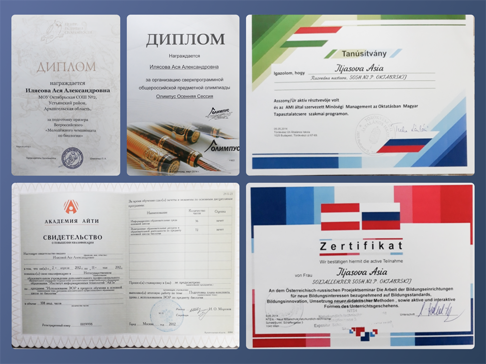 Дипломы