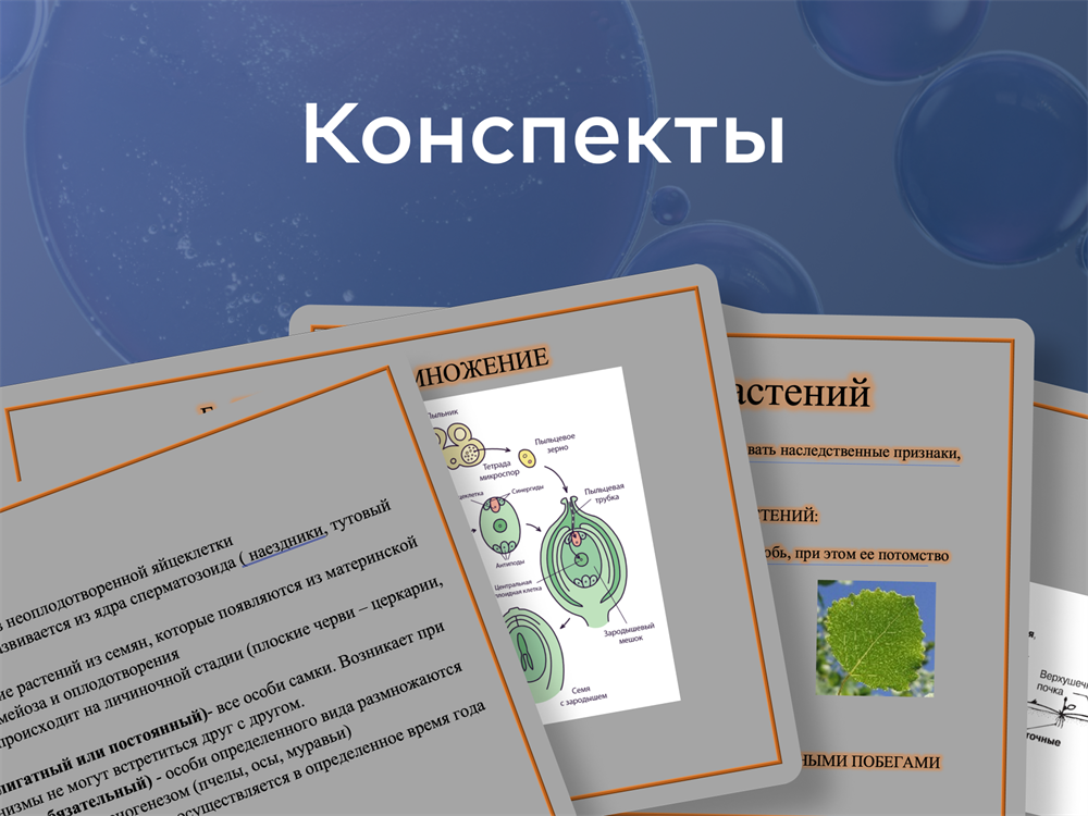 Конспекты