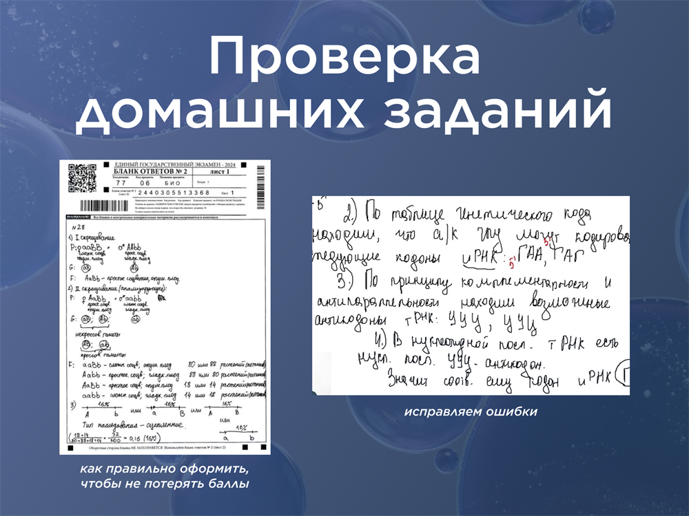 Проверка домашних заданий