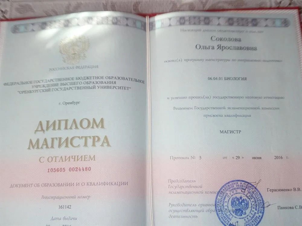 Диплом магистра