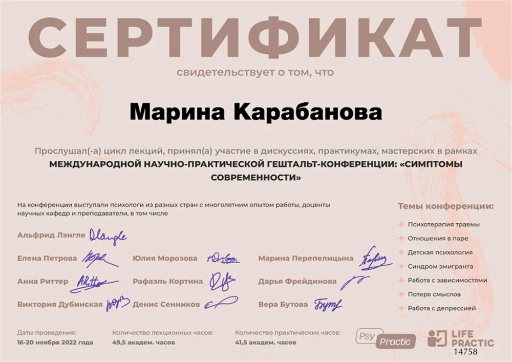 Сертификат участия в международной конференции 