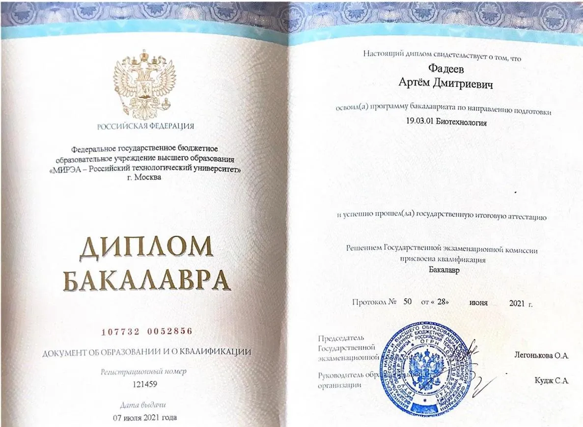 Диплом бакалавра
