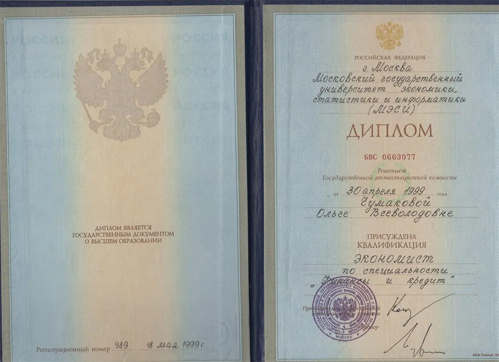 Диплом МЭСИ