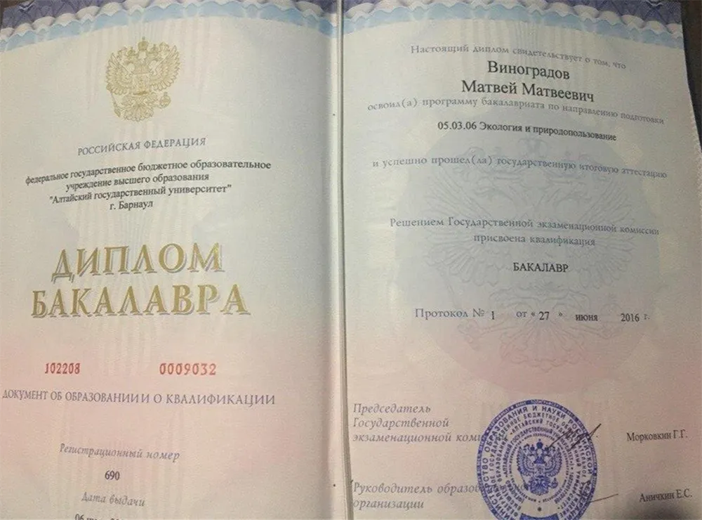 Диплом бакалавра