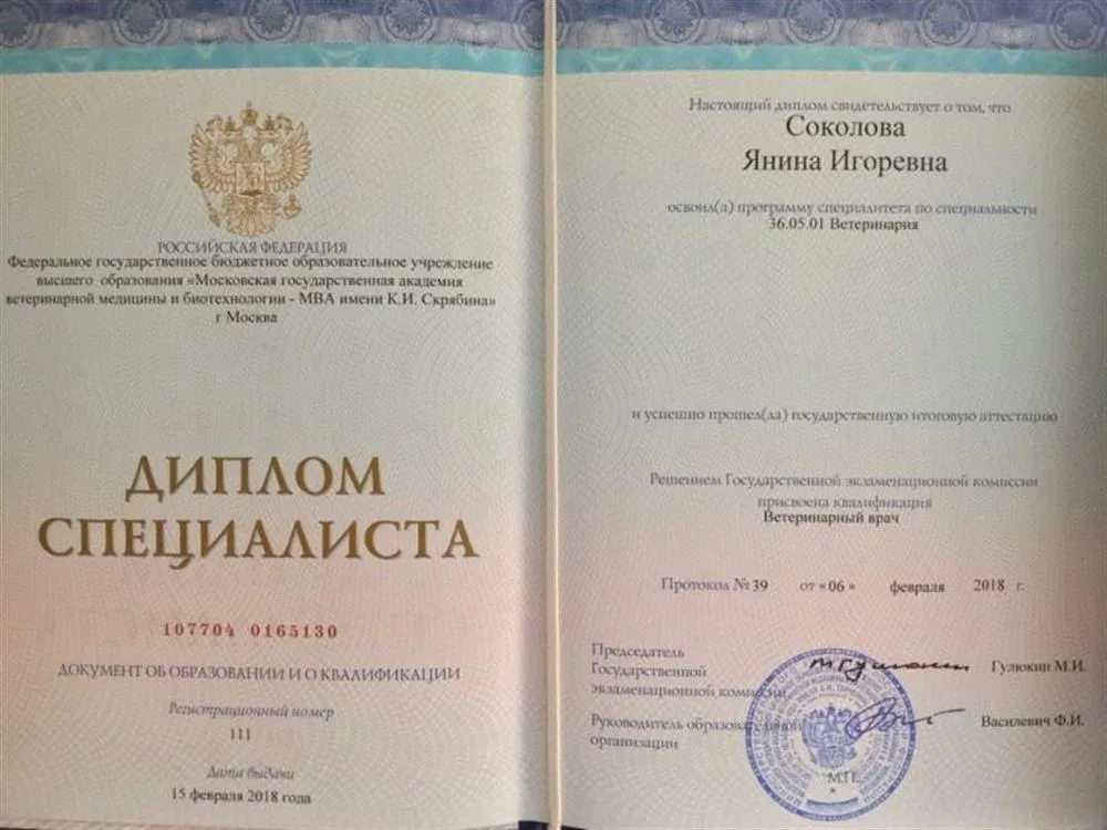 Диплом специалиста