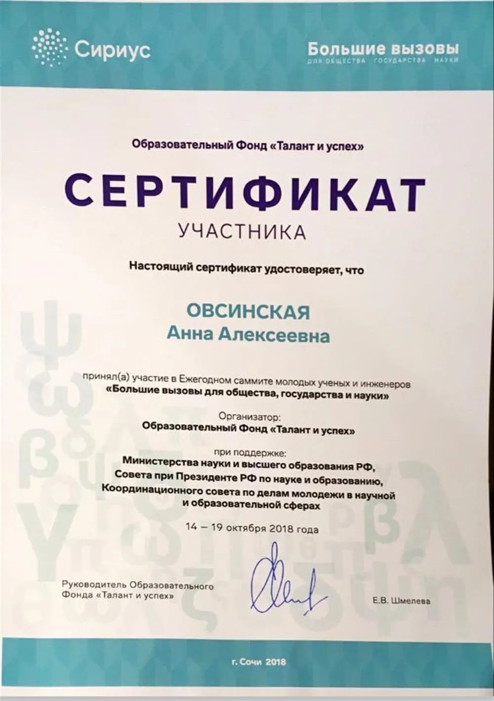 Сертификат участника саммита «Большие вызовы»