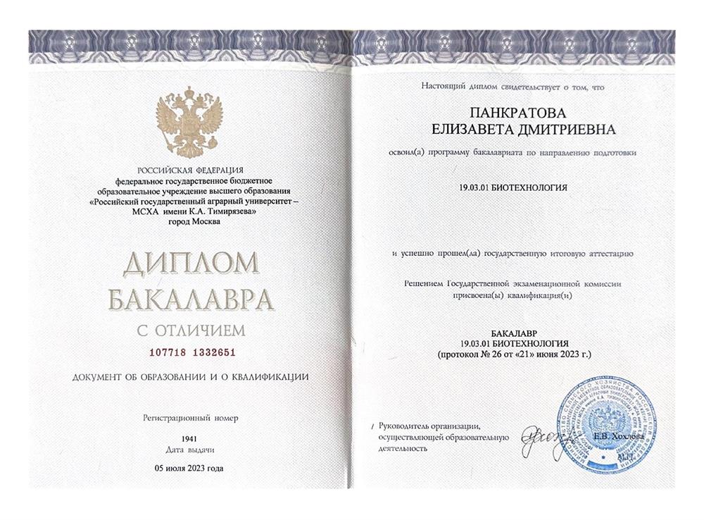 Диплом бакалавра