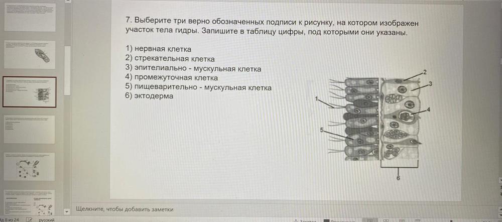 Примеры учебных материалов