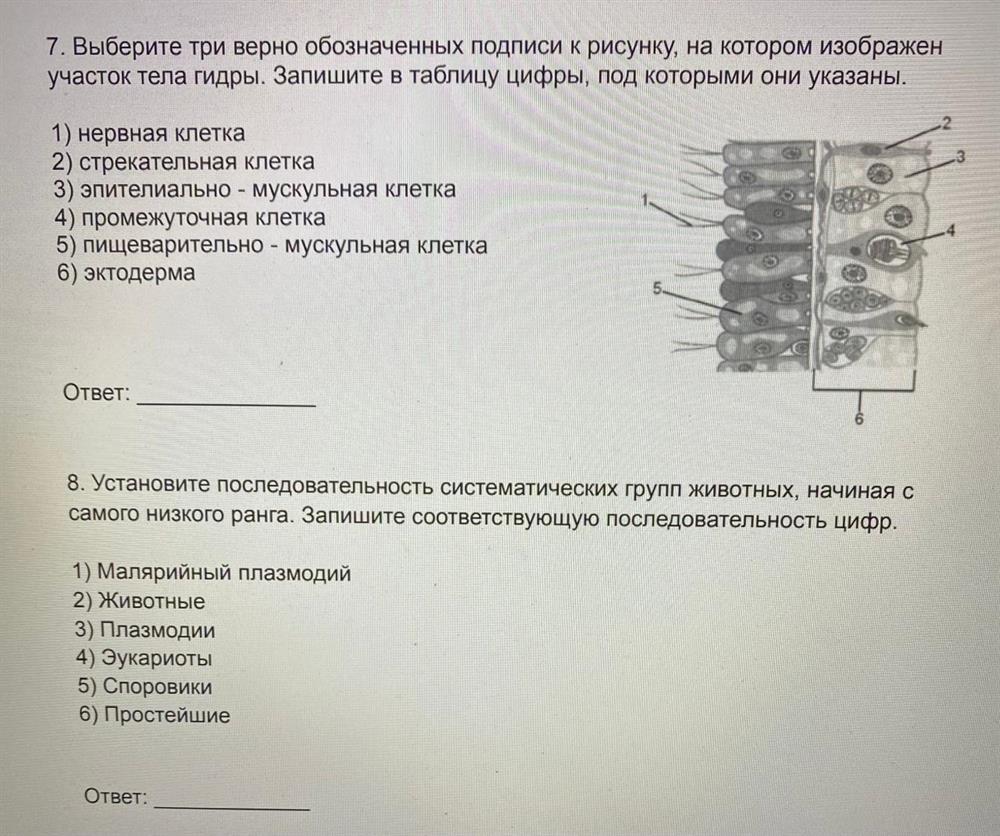 Примеры учебных материалов