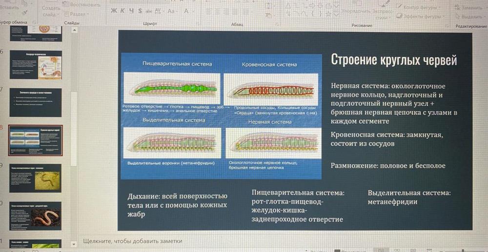 Примеры учебных материалов