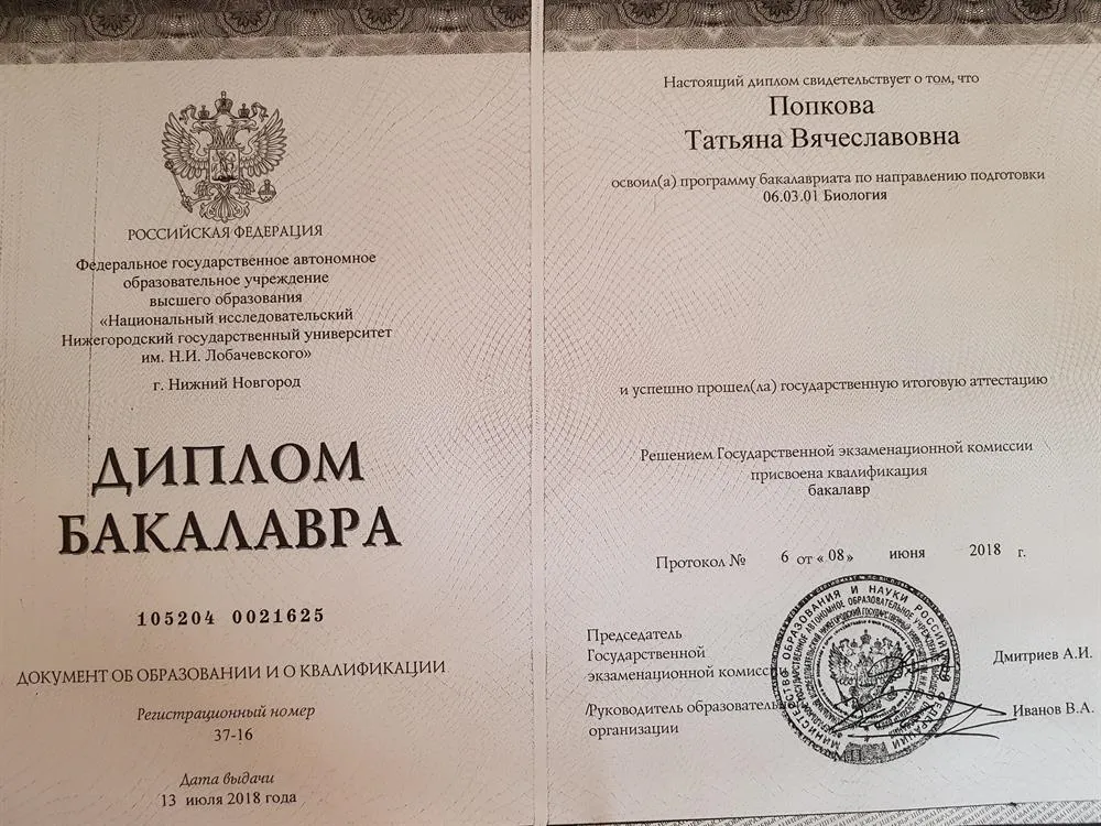 Диплом