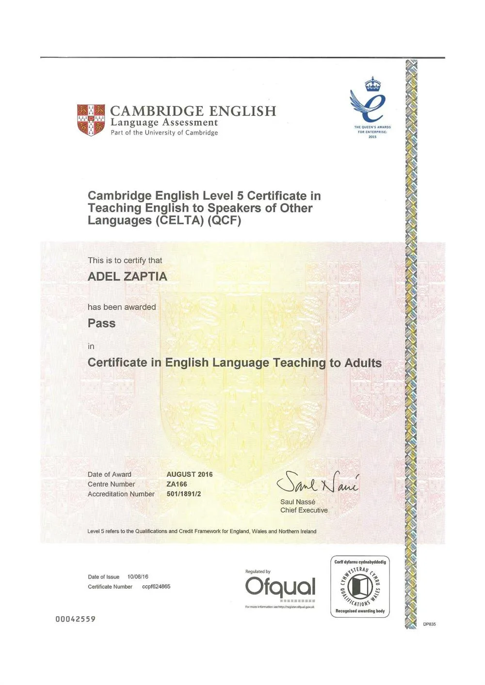 CELTA (Cambridge Teaching Certificate) 