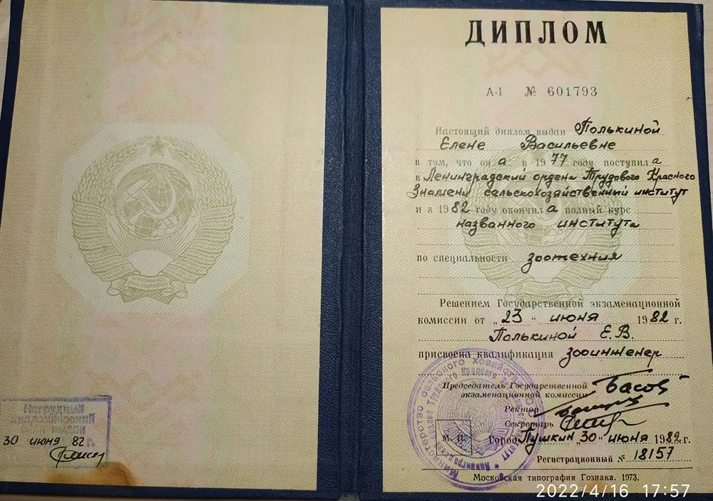 Диплом
