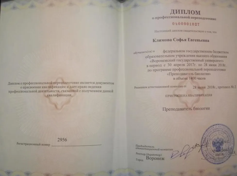 Диплом