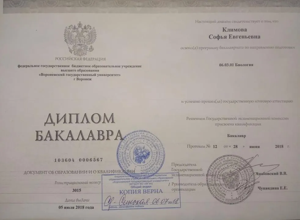 Диплом