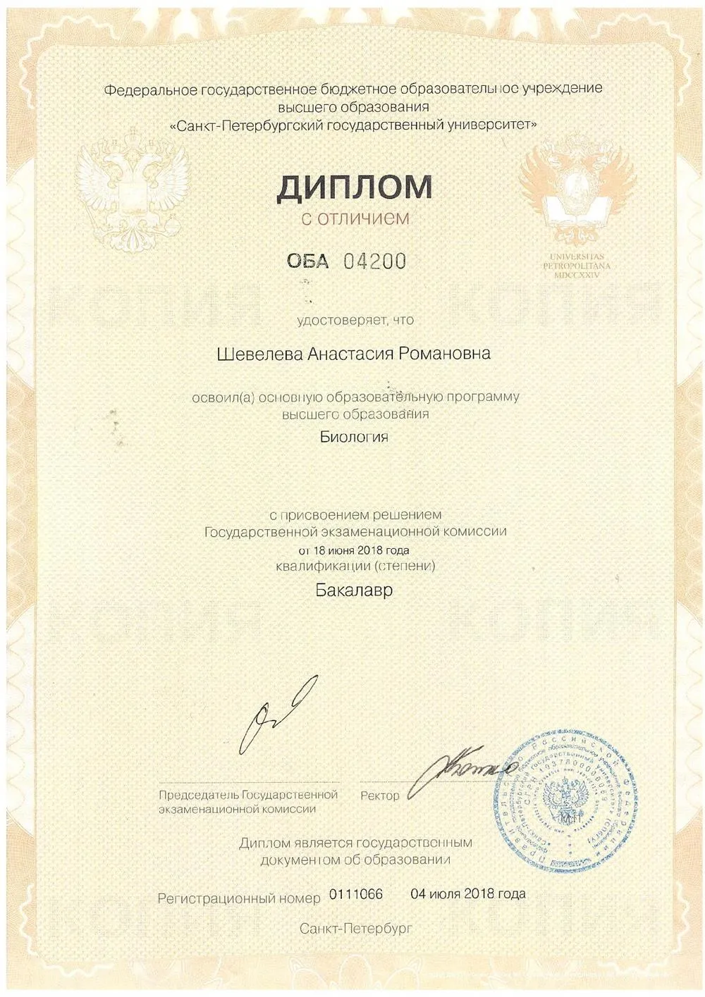 Диплом бакалавра