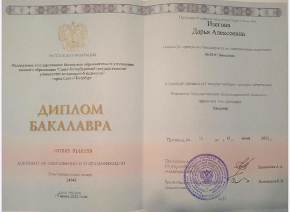 Диплом бакалавра 