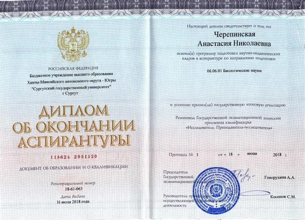 Диплом об окончании аспирантуры