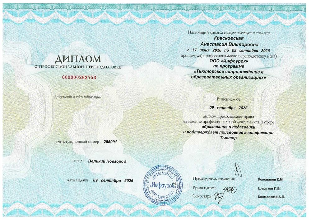 Тьюторское сопровождение в образовательных организациях