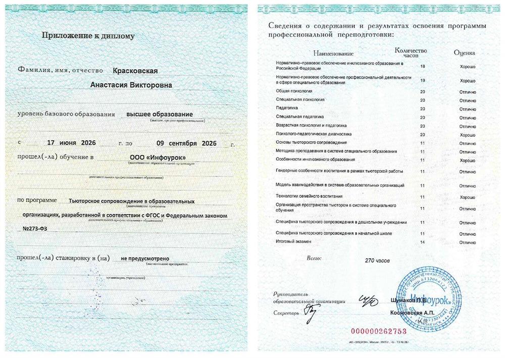 Тьюторское сопровождение в образовательных организациях