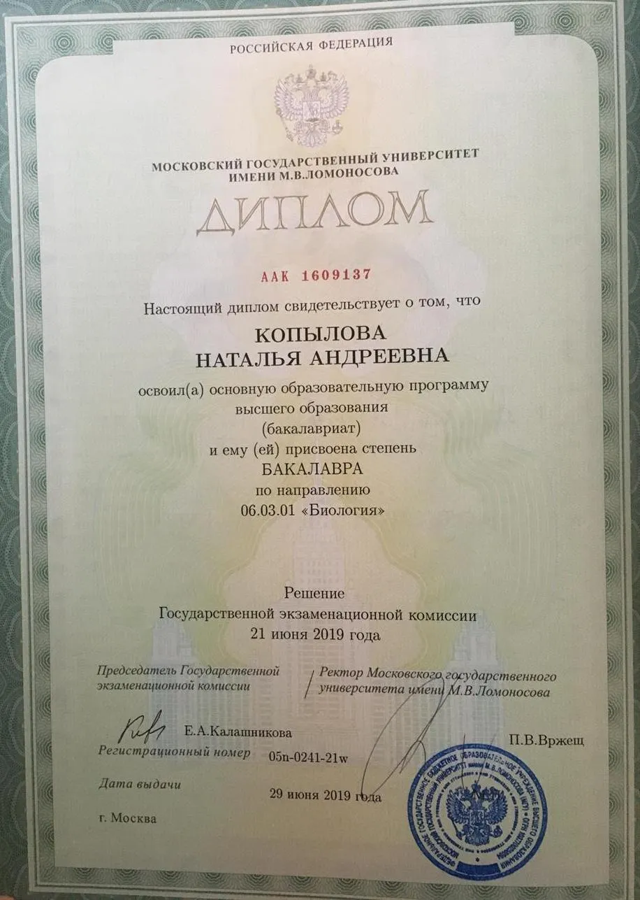 Диплом Бакалавра