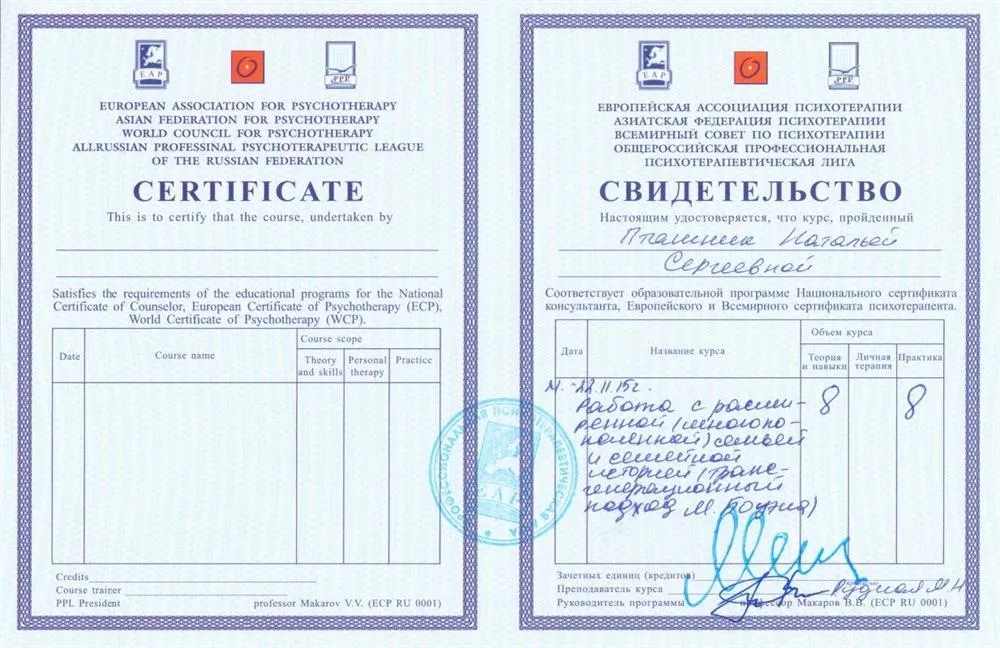 Системная семейная психотерапия 