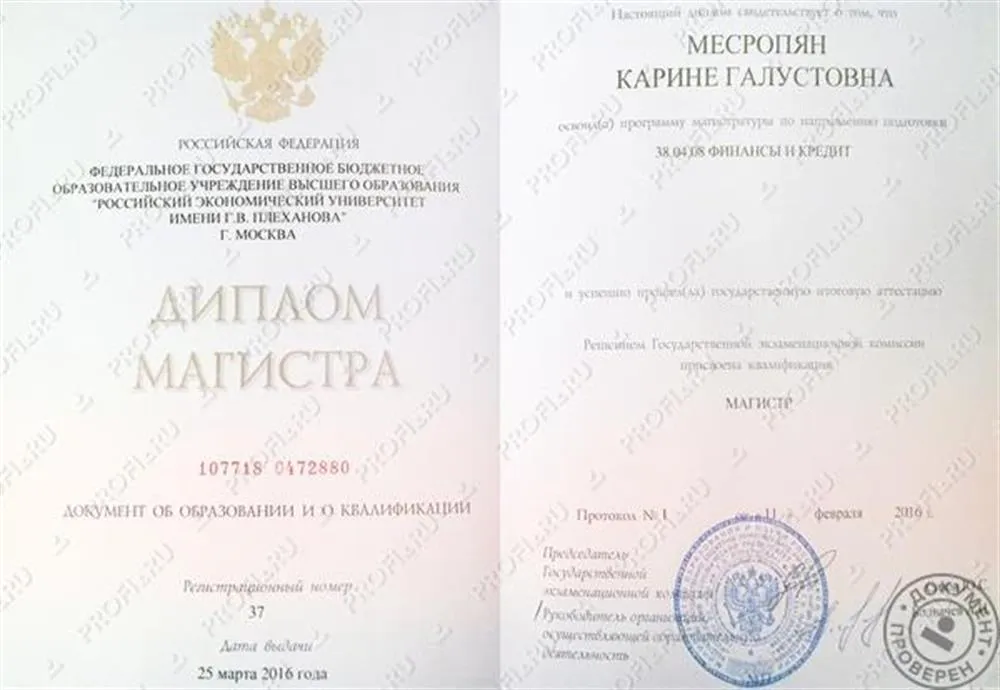 Диплом магистра экономики