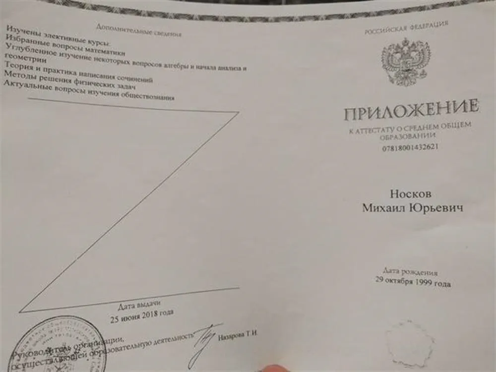 Изученные дисциплины в дополнение к школьной программе 