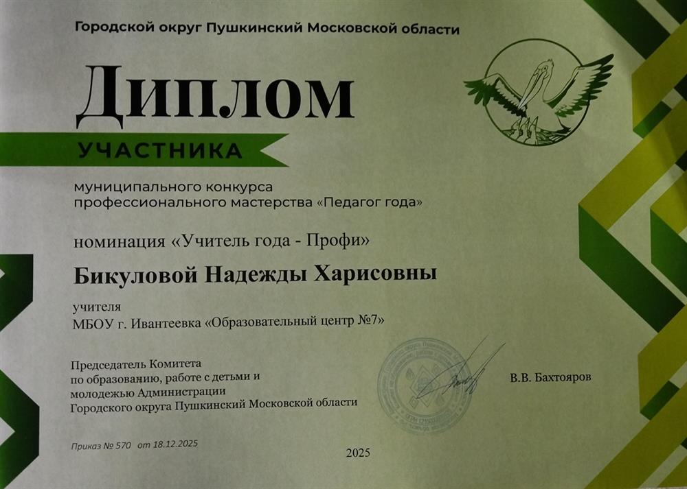 Диплом за участие в профессиональном конкурсе.